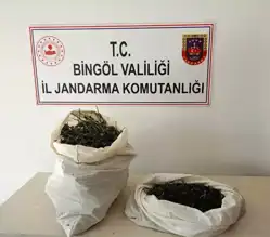 Doğu Anadolu'da Narkotik Operasyonu: 7 Kilo Esrar Ele Geçirildi