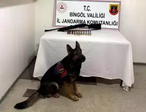 Bingöl'de 8 Şüpheli Gözaltına Alındı