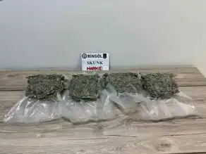 Doğu Anadolu'da Uyuşturucu Operasyonu: Skunk Ele Geçirildi