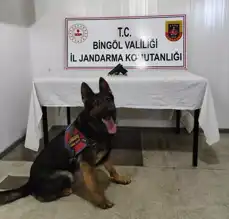 Doğu Anadolu'da Uyuşturucu Operasyonu: 3 Gözaltı