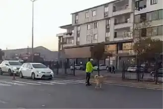 Trafik Polisi, Sokak Köpeğini Kurtardı