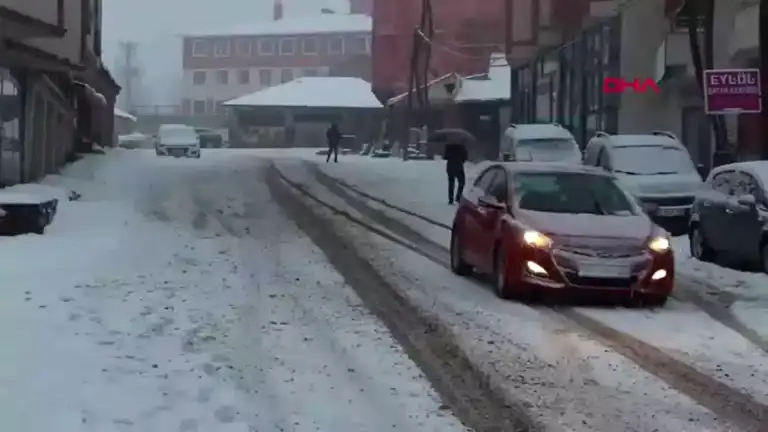 Bingöl Karlıova'da Yoğun Kar Yağışı: 7 Köy Yolu Kapandı