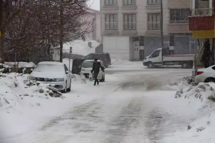 Bingöl Karlıova'da Yaşamı Felç Eden Kar Yağışı