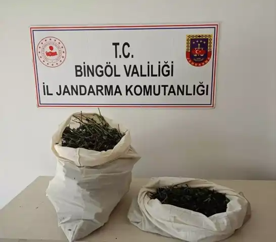 Doğu Anadolu'da Uyuşturucu Operasyonu: 7 Kilo Esrar Ele Geçirildi