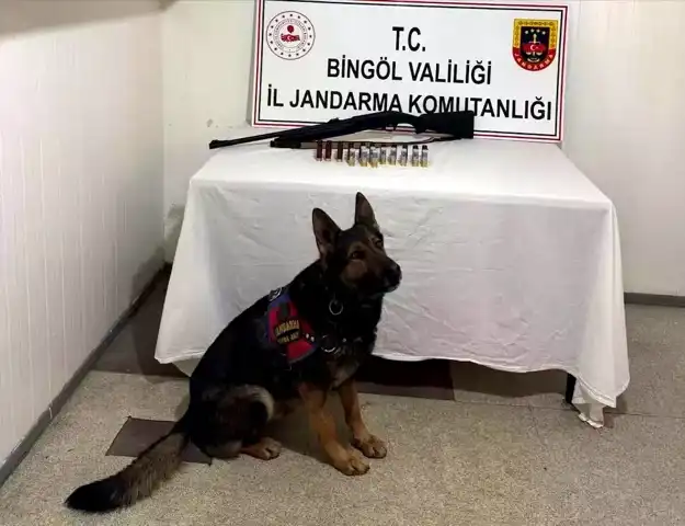 Bingöl'de 8 Şüpheli Gözaltına Alındı