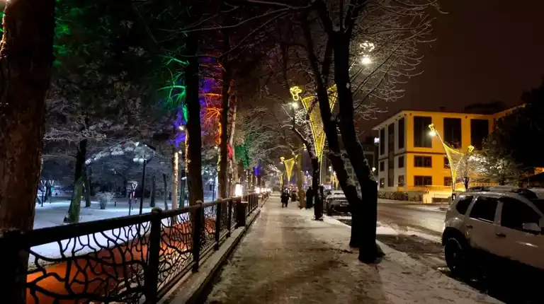 Bingöl'de Kar Yağışı: Taşımalı Eğitim Durdu