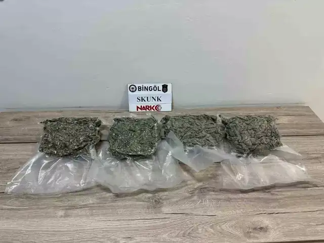 Doğu Anadolu'da Uyuşturucu Operasyonu: Skunk Ele Geçirildi
