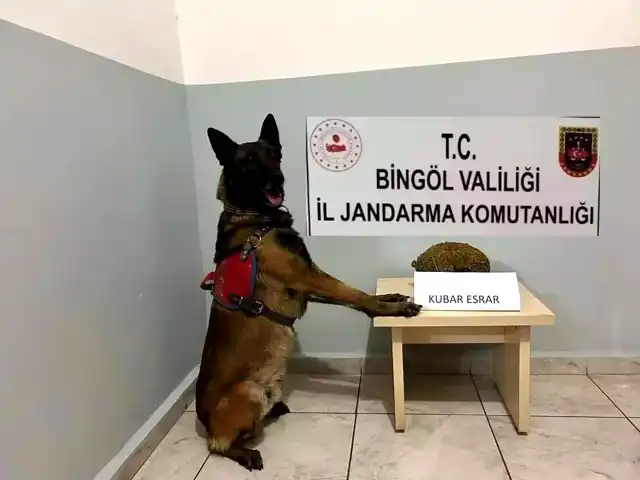 Bingöl'de Uyuşturucu Operasyonu: 3 Şüpheli Yakalandı, Madde Ele Geçirildi