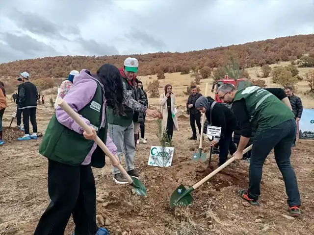 Dört Doğuda Ağaçlandırma Seferberliği