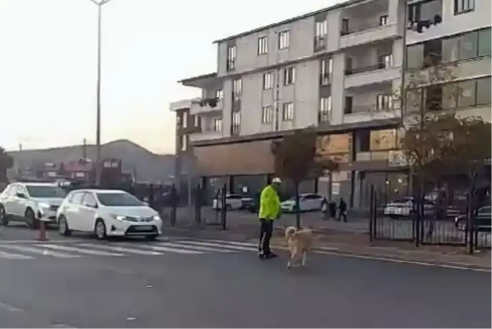 Trafik Polisi, Sokak Köpeğini Kurtardı